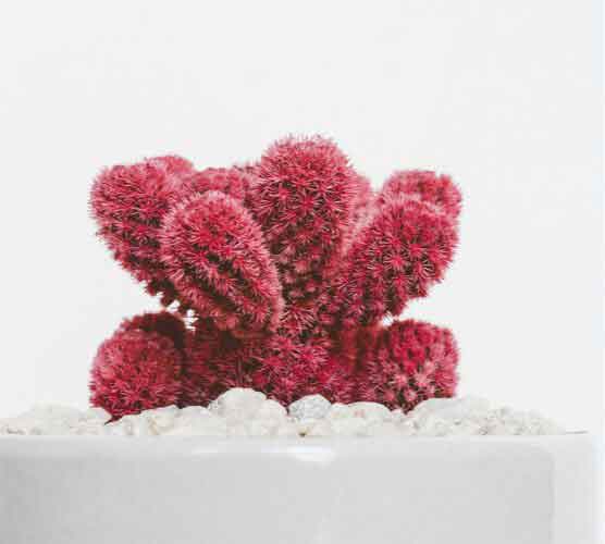 会员代充优惠的在线DDOS平台攻击